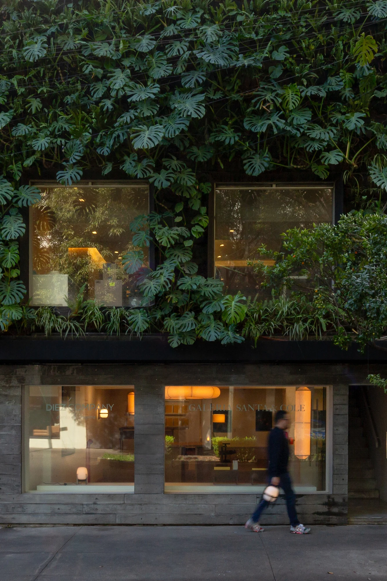 Santa & Cole gallery storefront in Mexico City