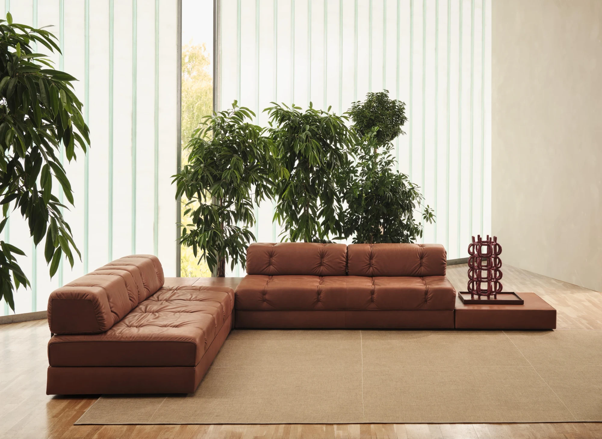 Wittmann modular sofa in a room with plants and tall windows