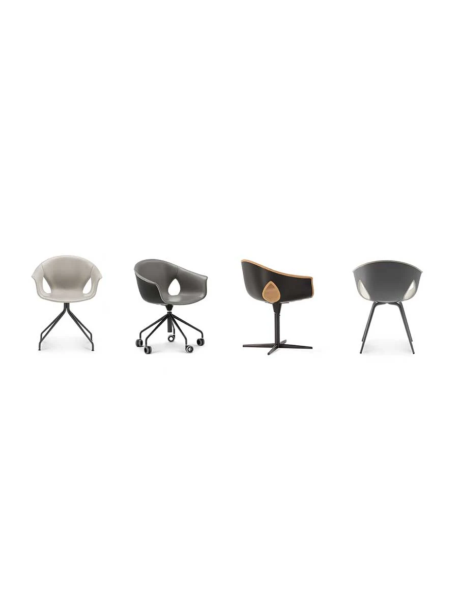Four Ginger Ale base configurations shown together