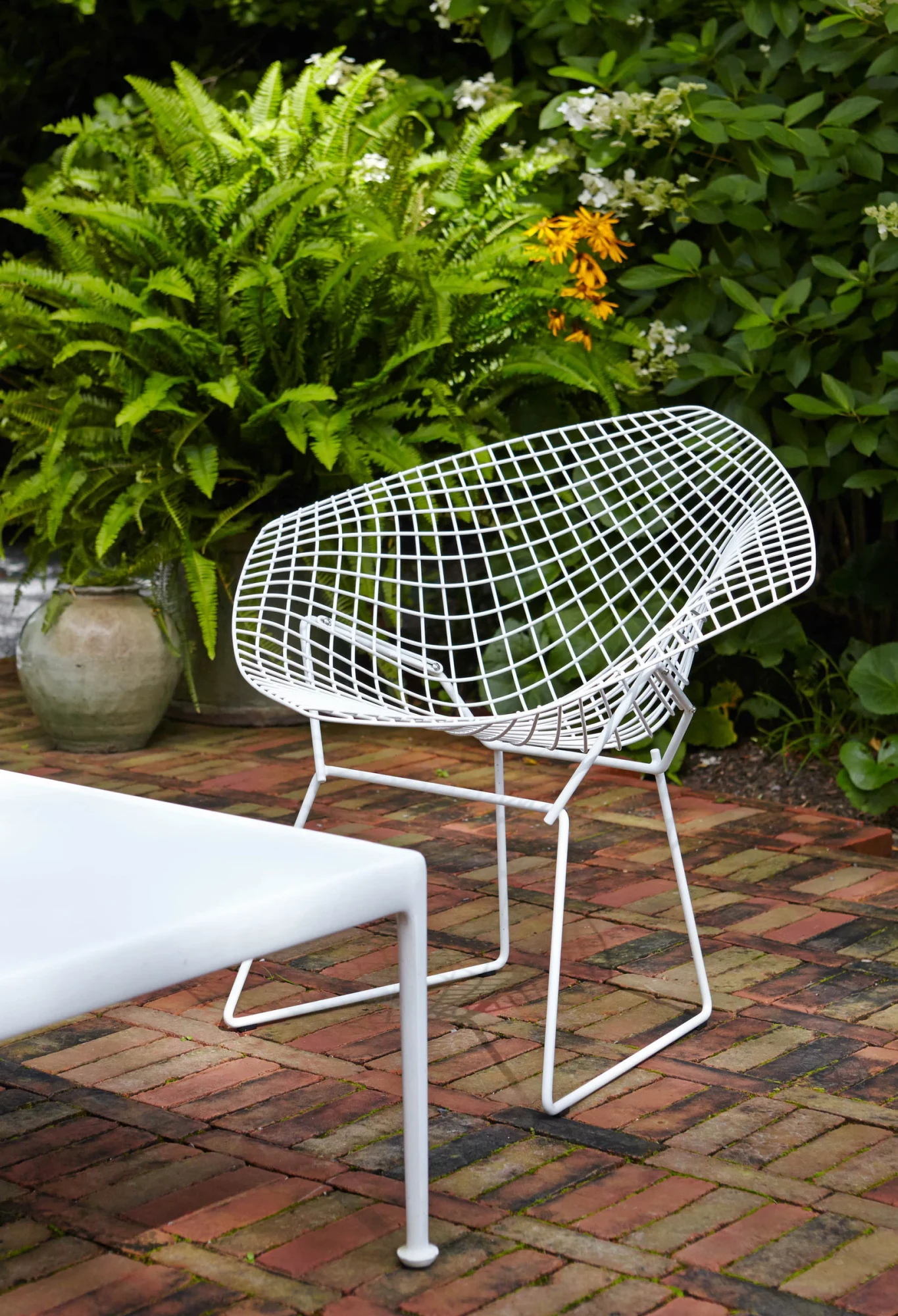 Bertoia Diamond Chair置于户外植物间,Knoll图片编号10694