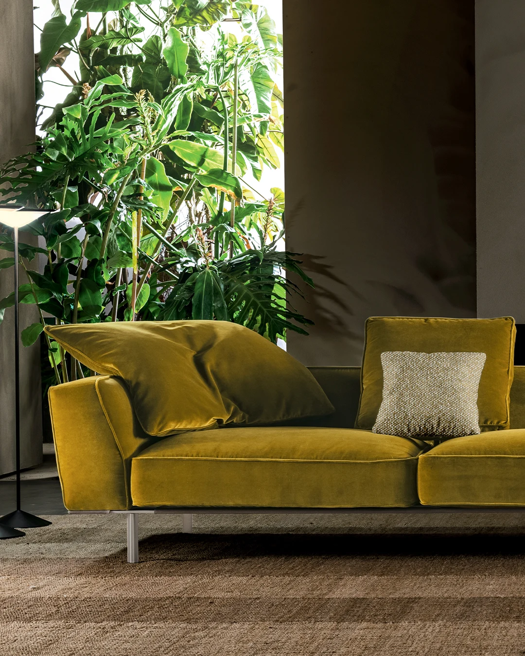 Sofa with cushions beside a floor lamp and large plants