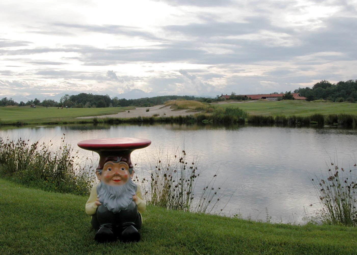 A single gnome figure on grass, seen from the front