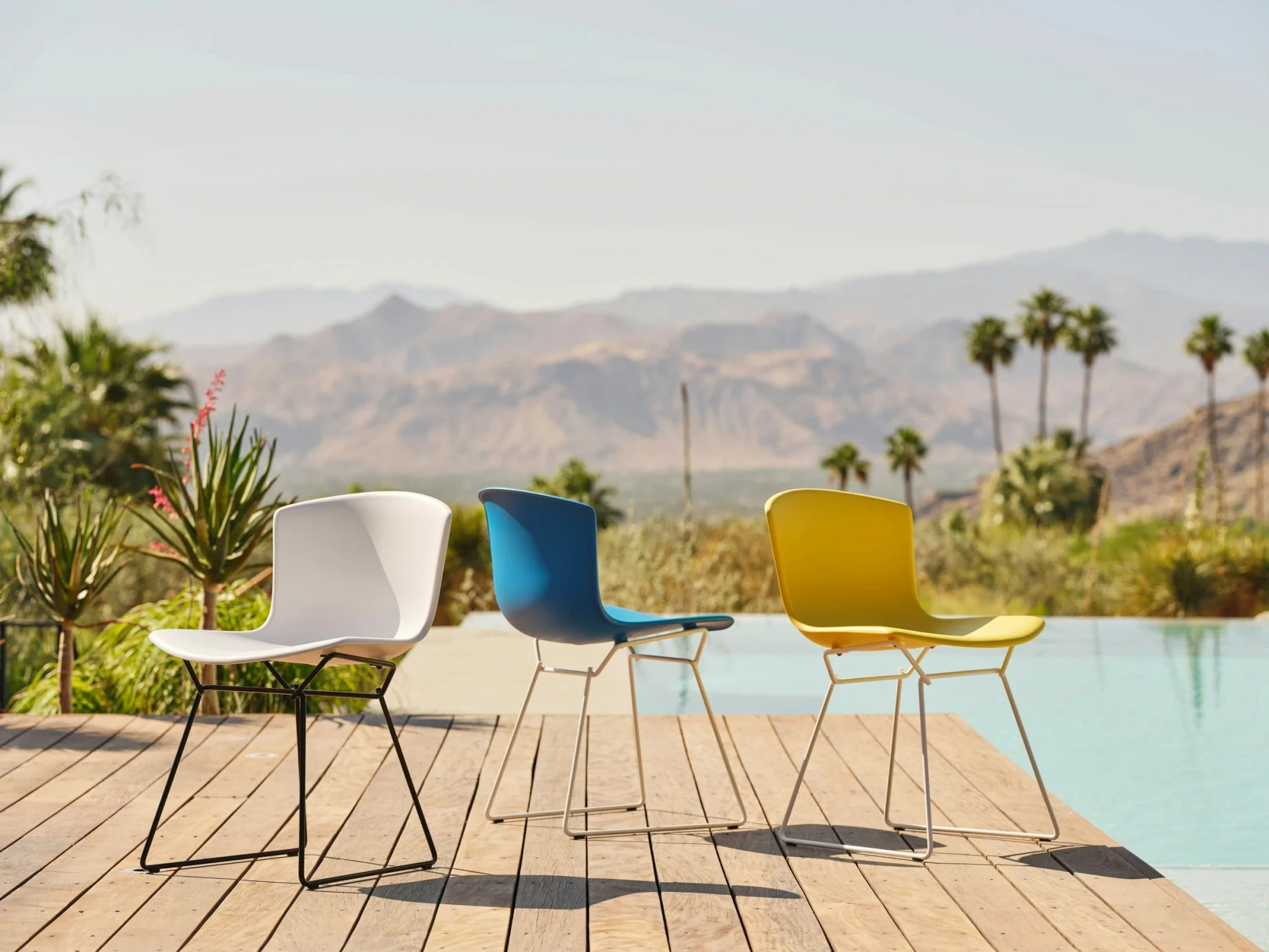 Bertoia Molded Shell Side Chairs outdoors, Knoll picture 17978
