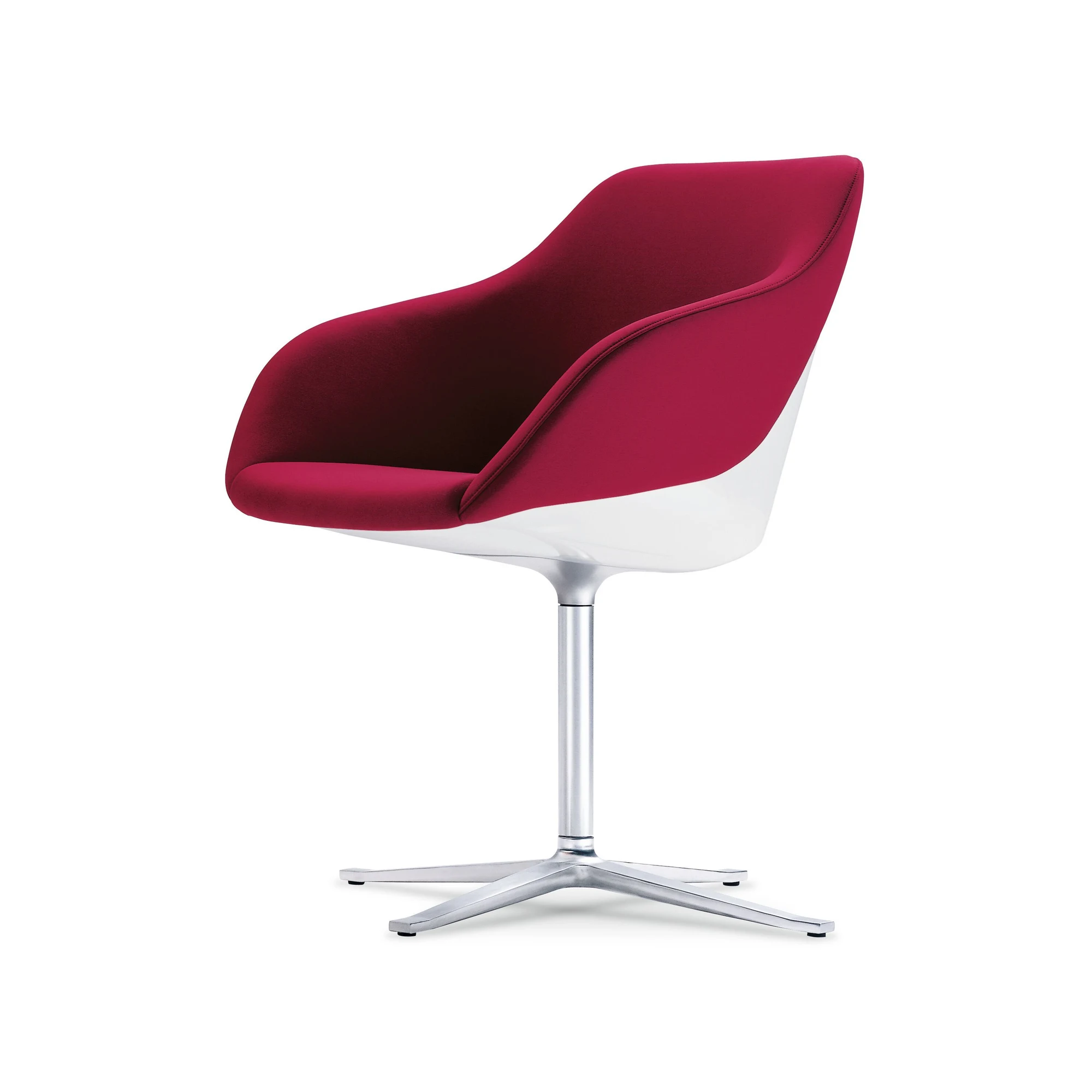 Turtle Chair